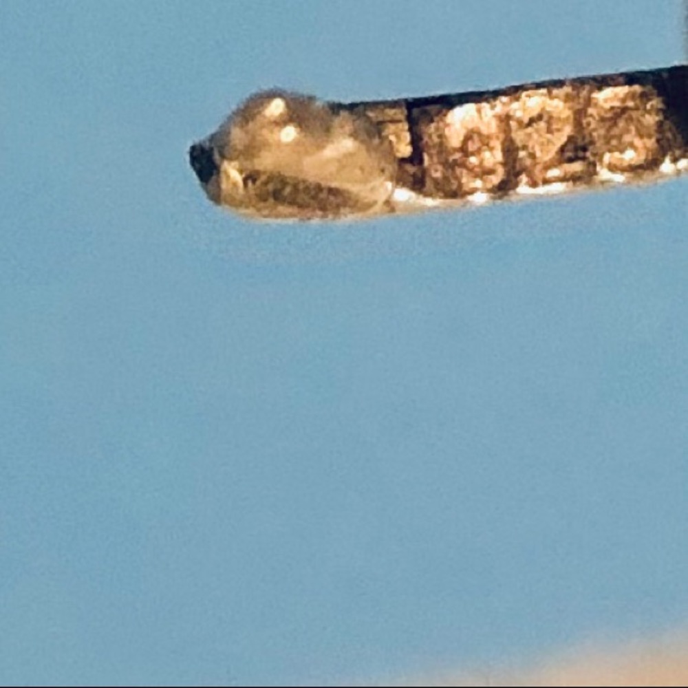 💎 925 Diamond & Amethyst Earrings - Picture 4 of 8